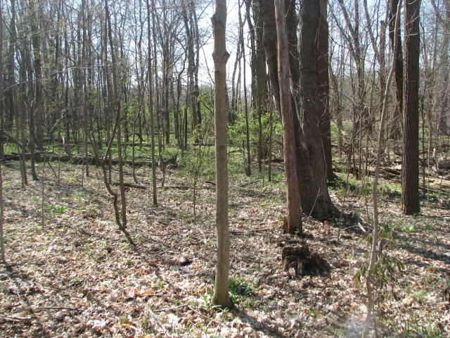 Click For Enlarged Photos and Maps