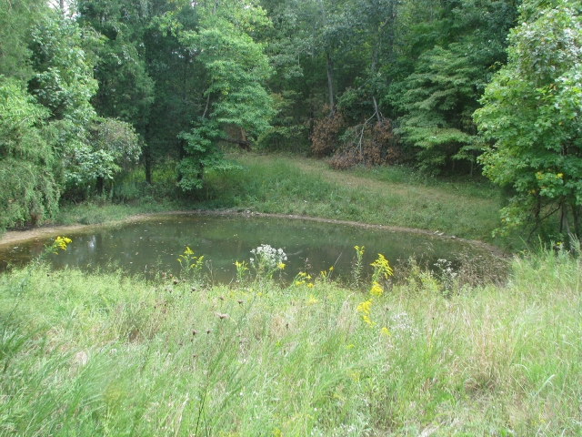 Click For Enlarged Photos and Maps
