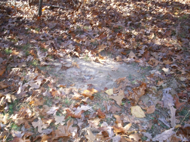 Click For Enlarged Photos and Maps