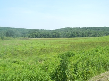 Click For Enlarged Photos and Maps