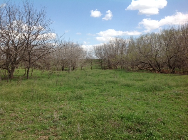 Click For Enlarged Photos and Maps