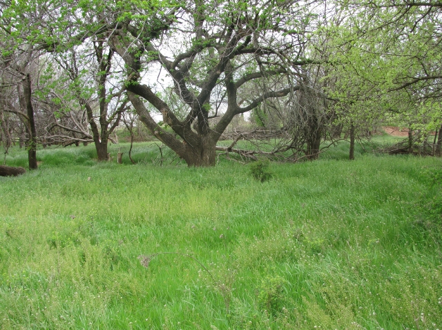 Click For Enlarged Photos and Maps