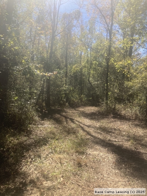 Leake County Mississippi Hunting Lease Property Base Camp