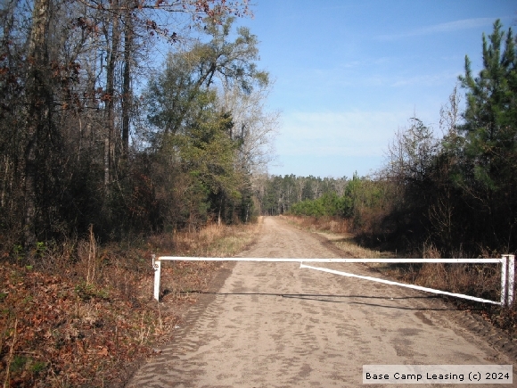 Turkey hunting lease south carolina