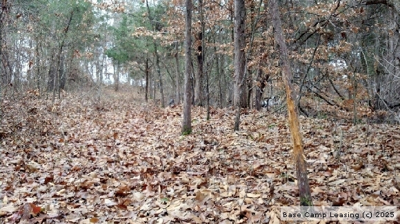 Hunting land lease johnston county nc