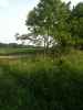 Map or photo for Hendricks County, Indiana hunting lease property.