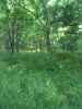 Map or photo for Hendricks County, Indiana hunting lease property.