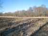 Map or photo for Cass County, Indiana hunting lease property.