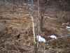 Map or photo for Linn County, Missouri hunting lease property.