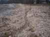 Map or photo for Linn County, Missouri hunting lease property.