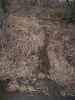 Map or photo for Linn County, Missouri hunting lease property.