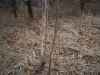 Map or photo for Linn County, Missouri hunting lease property.