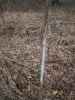 Map or photo for Linn County, Missouri hunting lease property.
