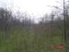 Map or photo for Marion County, Illinois hunting lease property.
