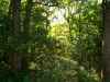 Map or photo for Miller County, Missouri hunting lease property.