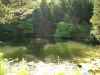 Map or photo for Miller County, Missouri hunting lease property.