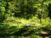 Map or photo for Miller County, Missouri hunting lease property.