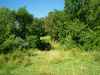 Map or photo for Miller County, Missouri hunting lease property.