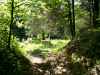 Map or photo for Miller County, Missouri hunting lease property.