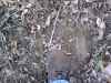 This is a deer trail, not cattle path. I put my size 12 boot in it to show the activity.