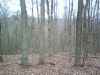 Map or photo for Washington County, Kentucky hunting lease property.