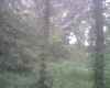 Thick cover