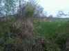 Map or photo for Greene County, Illinois hunting lease property.
