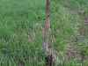 Map or photo for Greene County, Illinois hunting lease property.