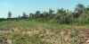 Map or photo for Rusk County, Wisconsin hunting lease property.