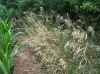 Map or photo for Rusk County, Wisconsin hunting lease property.