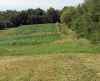 Map or photo for Rusk County, Wisconsin hunting lease property.