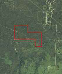 leases arkansas hunting property