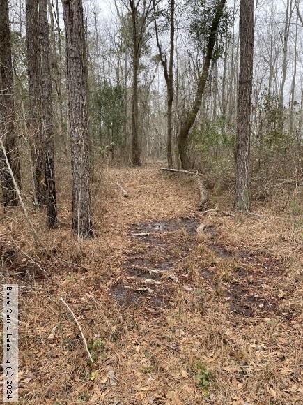 Robeson County North Carolina Hunting Lease - Property #9689 | Base ...