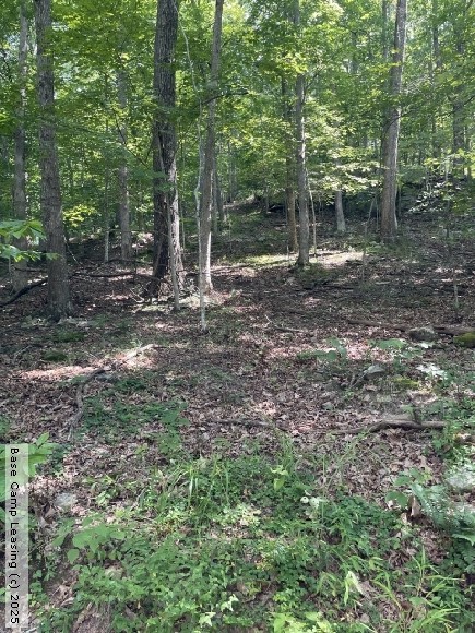 Braxton County West Virginia Hunting Lease - Property #9985 | Base Camp ...