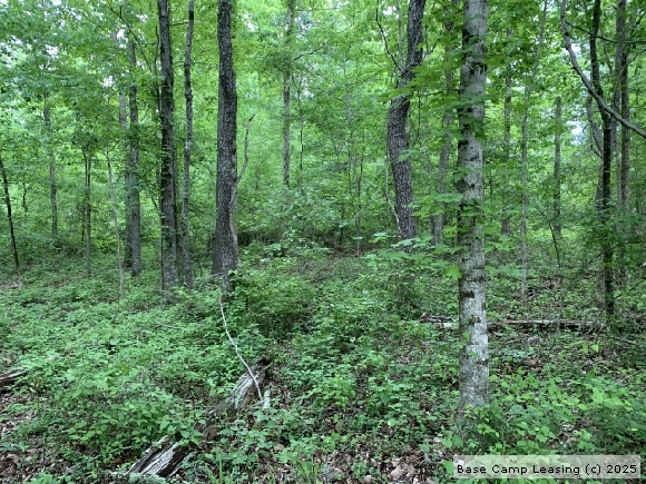 Wayne County Tennessee Hunting Lease - Property #10479 | Base Camp Leasing