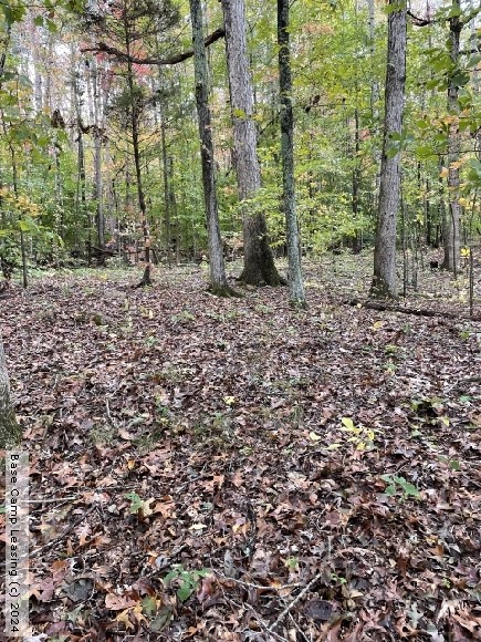 Pittsylvania County Virginia Hunting Lease Property 10768 Base Camp Leasing