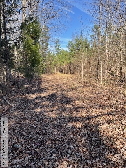 Brunswick County Virginia Hunting Lease - Property #10789 | Base Camp ...