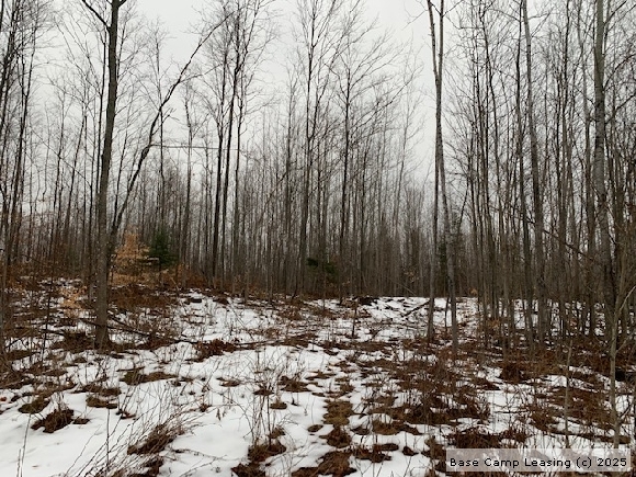 Montmorency County Michigan Hunting Lease - Property #9538 | Base Camp ...