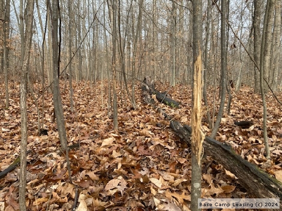 Owen County Indiana Hunting Lease - Property #11596 | Base Camp Leasing