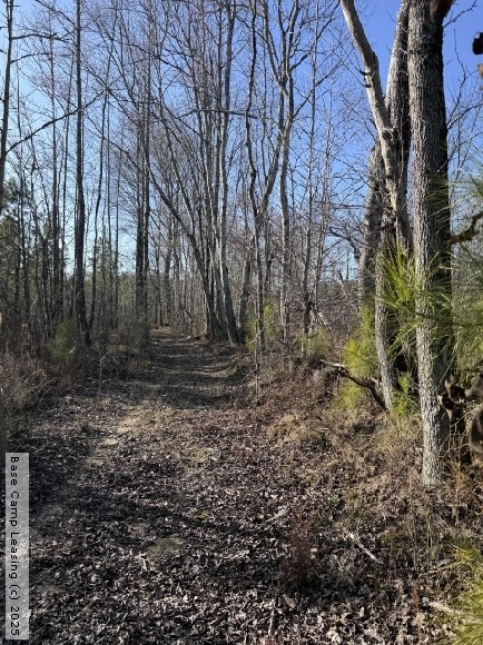 McNairy County Tennessee Hunting Lease - Property #11691 | Base Camp ...