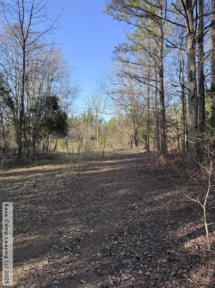 McNairy County Tennessee Hunting Lease - Property #11691 | Base Camp ...