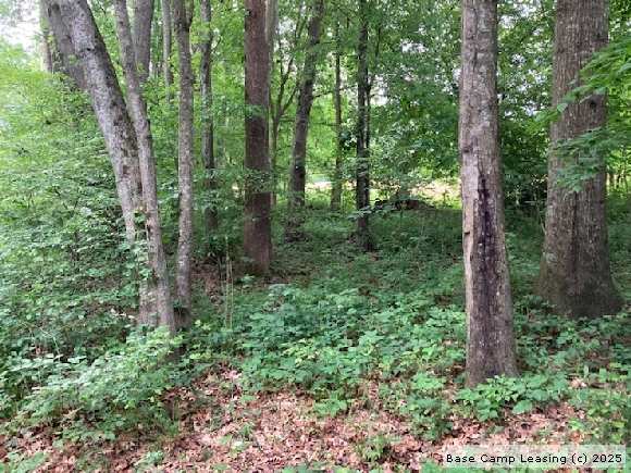 Casey County Kentucky Hunting Lease - Property #11864 | Base Camp Leasing