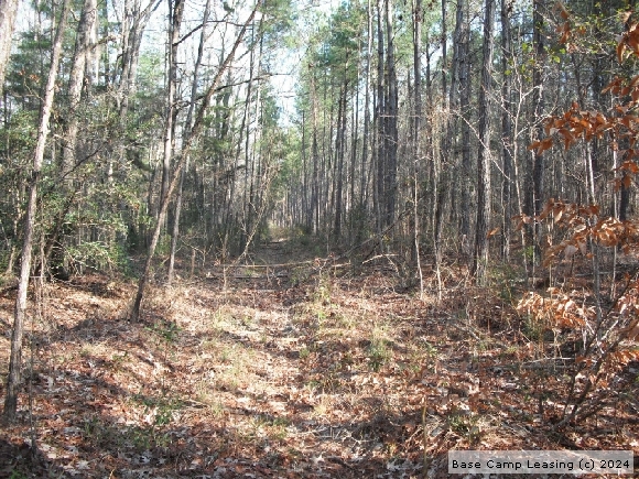 Dorchester County South Carolina Hunting Lease - Property #5510 | Base ...