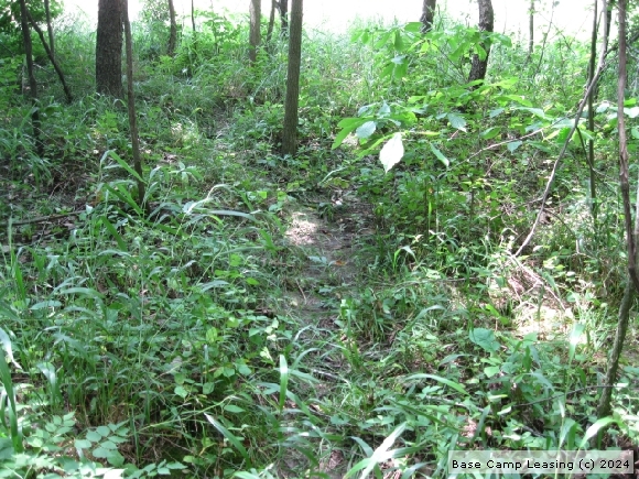 Sullivan County Indiana Hunting Lease - Property #5652 | Base Camp Leasing