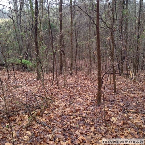 Pittsylvania County Virginia Hunting Lease Property 6544 Base Camp