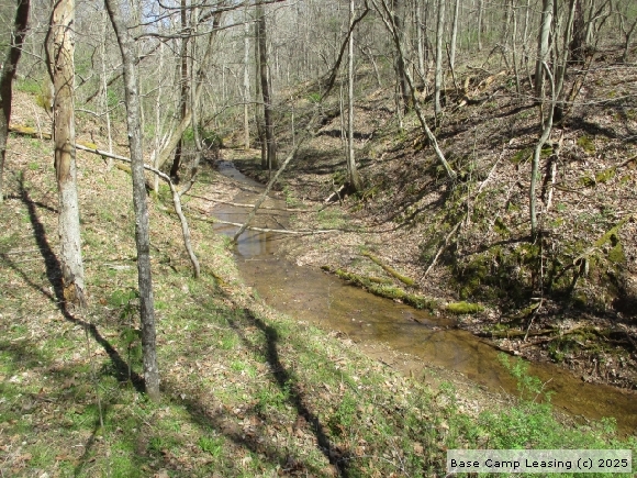 Roane County West Virginia Hunting Lease - Property #7090 | Base Camp ...