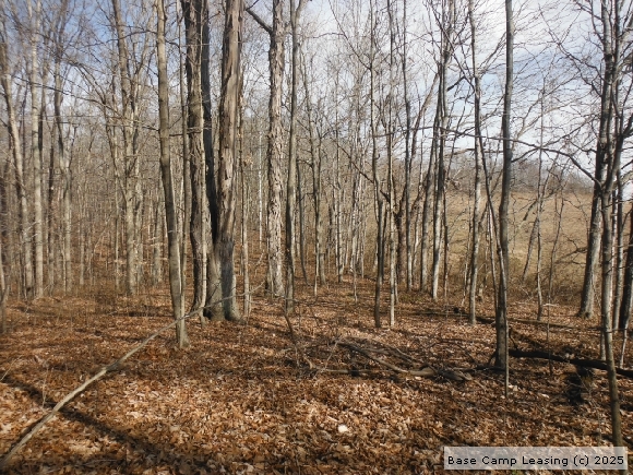 Vinton County Ohio Hunting Lease - Property #7507 | Base Camp Leasing