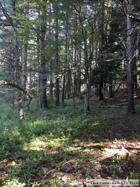 Tioga County Pennsylvania Hunting Lease - Property #7834 | Base Camp ...