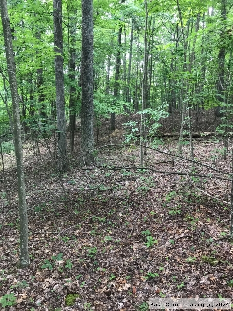 Roane County West Virginia Hunting Lease - Property #8212 | Base Camp ...