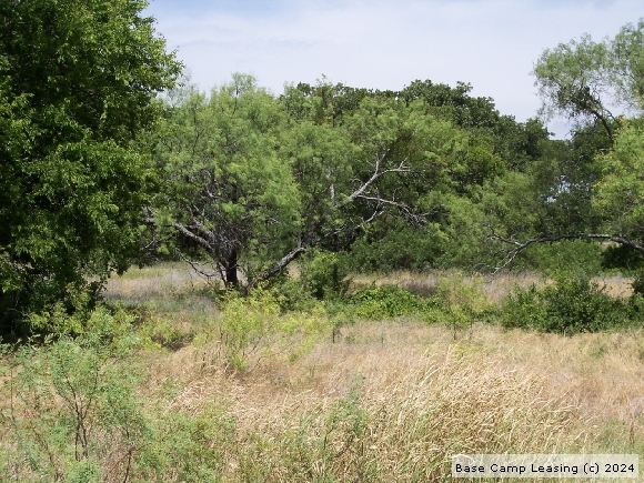 Erath County Texas Hunting Lease - Property #8240 | Base Camp Leasing